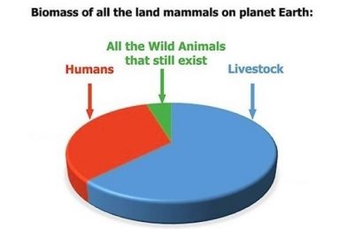 The World Goes Vegan