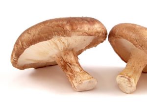   Immune Boosting Shiitake Mushrooms