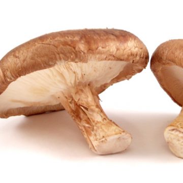   Immune Boosting Shiitake Mushrooms