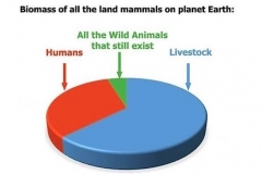 human-livestock-biomass