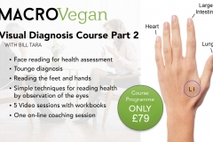 MACROVegan-Oriental-Diagnosis-Course-with-Bill-Tara-Part-2