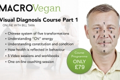 MACROVegan-Oriental-Diagnosis-Course-with-Bill-Tara-Part-I